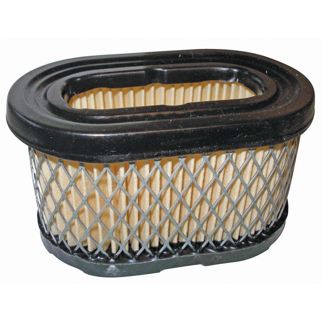 Briggs & Stratton JM615 Air Filter 99700
