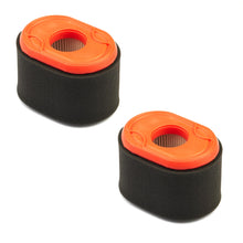 Load image into Gallery viewer, Briggs &amp; Stratton 550 Series 3.5hp Filter-A/C Cartridge &amp; Foam Set of 2 796970 Genuine