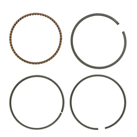 PowerMowers provides professional lawn & garden products that prioritises cutting-edge performance & user-safety. JakMax R2000IS Piston Ring Assembly JMRT1239