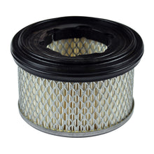 Load image into Gallery viewer, Kohler KD440 Lombardini Diesel Filter-A/C Cartridge ED0021753060-S