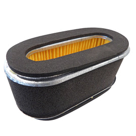 Sanli/Gardener's Choice GCS400/LBP350/LCS400/PMS400 Air Filter and Foam Element KSP-AF1, 1P60-070003