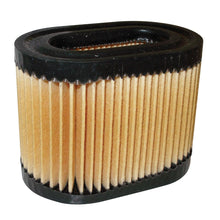 Load image into Gallery viewer, PowerMowers provides professional lawn &amp; garden products that prioritises cutting-edge performance &amp; user-safety. Tecumseh LEV115/LEV120 Air Filter 36745