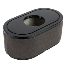Load image into Gallery viewer, STIGA/GA LON180100123 Air Filter &amp; Pre-Filter LON180100123
