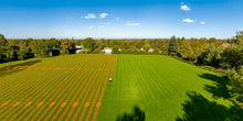 Load image into Gallery viewer, Mammotion Luba 2 AWD 5000X Perimeter Wire Free 5000㎡ RTK Robot Lawn Mower