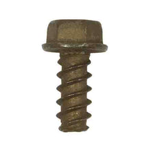 Load image into Gallery viewer, MTD/Bolens/Cub Cadet/Craftsman Screw 1/4 - 10: .625 04065
