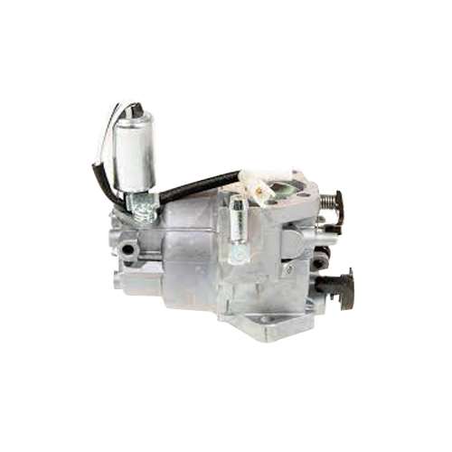 MTD/Bolens/Cub Cadet/Craftsman Carburetor Assembly 05560
