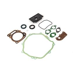 MTD/Bolens/Cub Cadet/Craftsman Gasket Kit - Complete sket