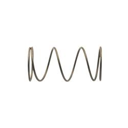 MTD/Bolens/Cub Cadet/Craftsman Filter Spring 12250