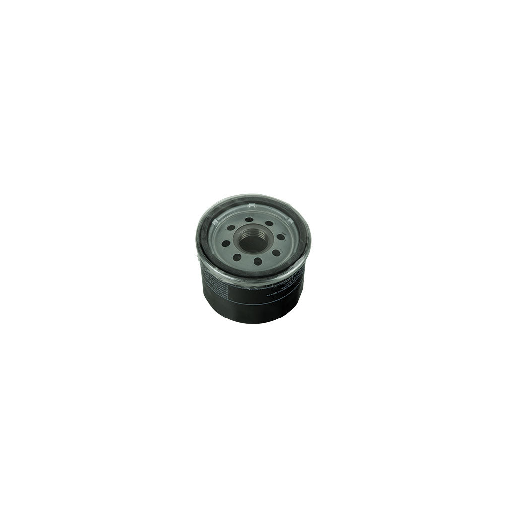MTD/Rover/GA/Cub Cadet/Masport/Morrison/Scott Bonnar OIP8114/G3800/G380 Mtd Rover Oil Filter 11501, 12690