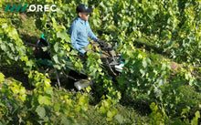Load image into Gallery viewer, Orec RM60W 570cc 2WD Rabbit Vineyard Retractable-Wing Brush Mower - 705mm to 1155 mm Cut