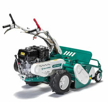 Load image into Gallery viewer, Orec HR812 389cc Professional Walk-Behind Flail Mower - 800mm Cut