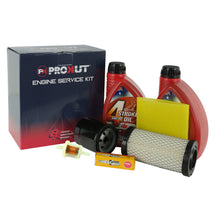 Load image into Gallery viewer, PowerMowers provides professional lawn &amp; garden products that prioritises cutting-edge performance &amp; user-safety. Briggs &amp; Stratton/PROKUT Professional Series 17.5-19HP Engine Service Kit 793569, 793685