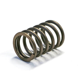 PowerMowers provides professional lawn & garden products that prioritises cutting-edge performance & user-safety. JakMax RV340D/R8750ID/R8000ID Valve Spring JMRT1193