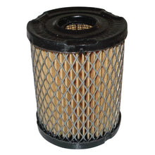 Load image into Gallery viewer, PowerMowers provides professional lawn &amp; garden products that prioritises cutting-edge performance &amp; user-safety. Tecumseh/John Deere H50/H60/H70/HTV840/TVXL105 Air Filter 34782, 34782A