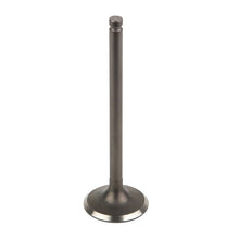 Load image into Gallery viewer, GA/Stens ZSP100004557 Exhaust Valve ZSP100004557