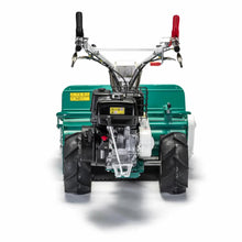 Load image into Gallery viewer, Orec HR812 389cc Professional Walk-Behind Flail Mower - 800mm Cut