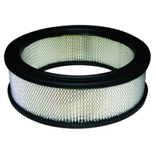 Load image into Gallery viewer, Briggs &amp; Stratton/GA AIR114/AIR3077 Air Filter 392642, 394018