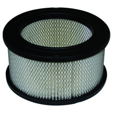 Load image into Gallery viewer, Kohler/GA/Cub Cadet/Gravely/John Deere/Tecumseh AIR2898/K181/AM30800/K91/K161 Air Filter 231847, 15373