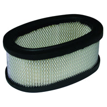 Load image into Gallery viewer, Briggs &amp; Stratton/GA/John Deere AIR3074/AM37540 Air Filter 393406, 170700
