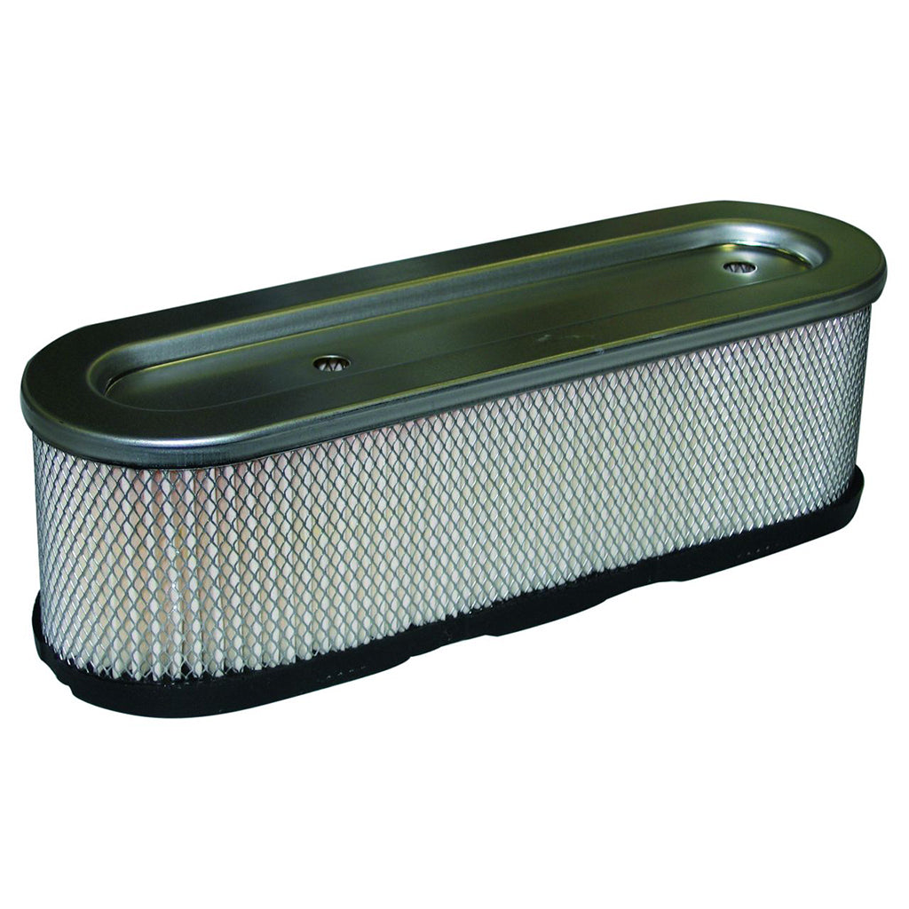 Briggs & Stratton/GA AIR3621/AIR3994 Air Filter 399806, 491519