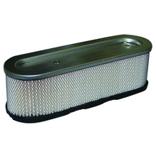 Load image into Gallery viewer, Briggs &amp; Stratton/GA AIR3621/AIR3994 Air Filter 399806, 491519