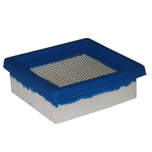 Load image into Gallery viewer, Tecumseh/GA AIR5829/OHH45/OHH50/VLV40/VLV50 Tecumseh Air Filter 36046, AIR5829