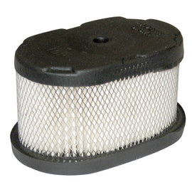 Briggs & Stratton/GA AIR5858/AIR5892 Air Filter 497725, 494586
