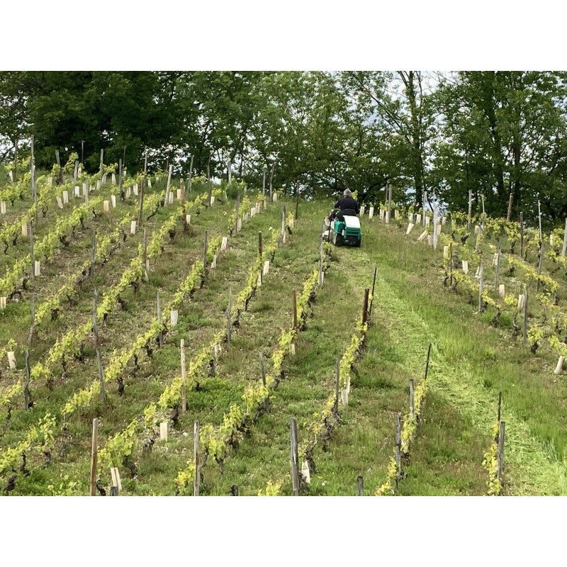Orec RM60W 570cc 2WD Rabbit Vineyard Retractable-Wing Brush Mower - 705mm to 1155 mm Cut