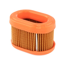 Load image into Gallery viewer, Briggs &amp; Stratton 9-Series Filter-A/C Cartridge 790166 genuine