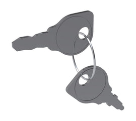 R&R Ignition Key Set of (2) R343060