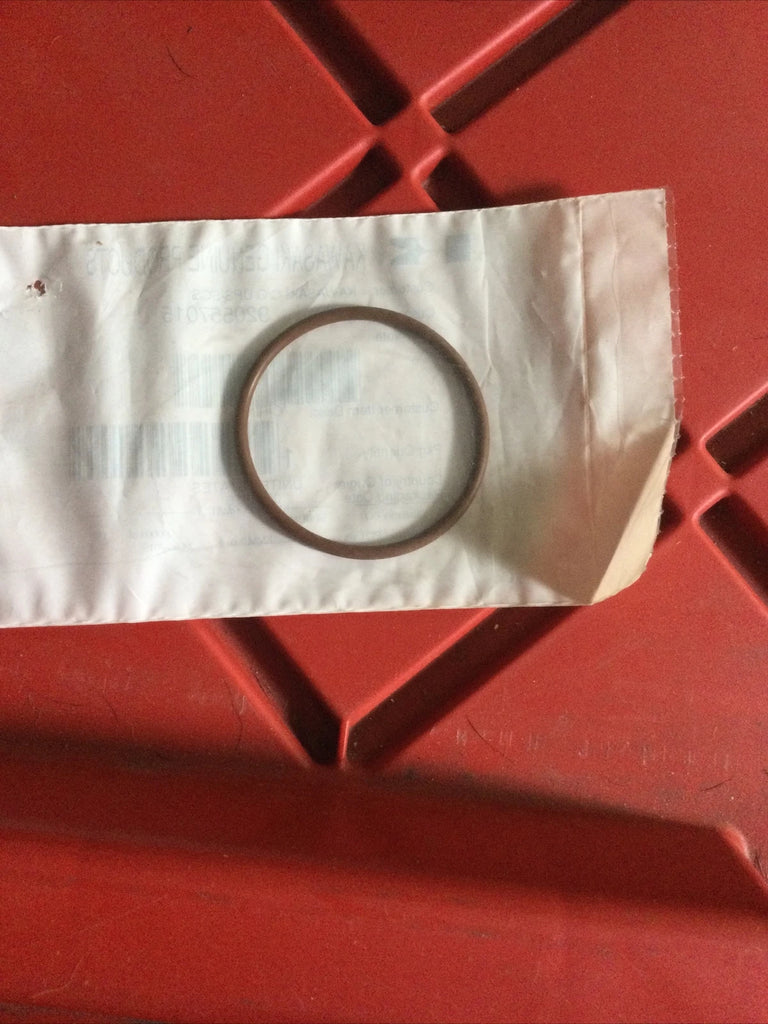 Kawasaki FH381V/FH430V/FH541V/FH580V Air Filter O Ring KAW92055-7015