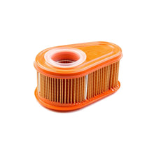 Load image into Gallery viewer, Briggs &amp; Stratton Genuine Engine Care Kit for 700 Series™, 750 Series™, 750 Series™ I/C®, DOV®, DOV® I/C® 992234