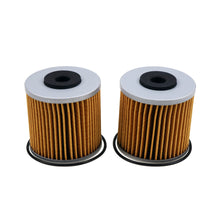 Load image into Gallery viewer, Briggs &amp; Stratton Ferris/Scag/Bad Boy/Gravely Hydro-Gear Transaxle Filter Set of (2) 5101987X2