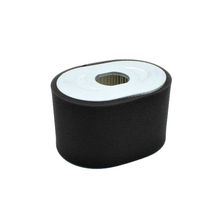 Load image into Gallery viewer, Briggs &amp; Stratton Engine Filter-A/C Cartridge and Foam 799818