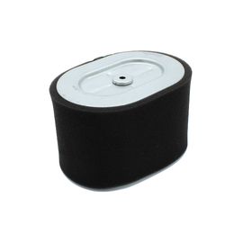 Briggs & Stratton Genuine Engine Filter-A/C Cartridge and Foam 799818