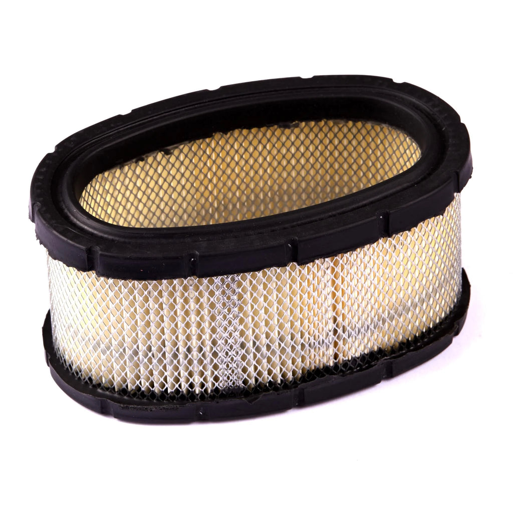 Briggs & Stratton/John Deere 11hp, 25-Series Vertical Engine Filter-A/C Cartridge 393725